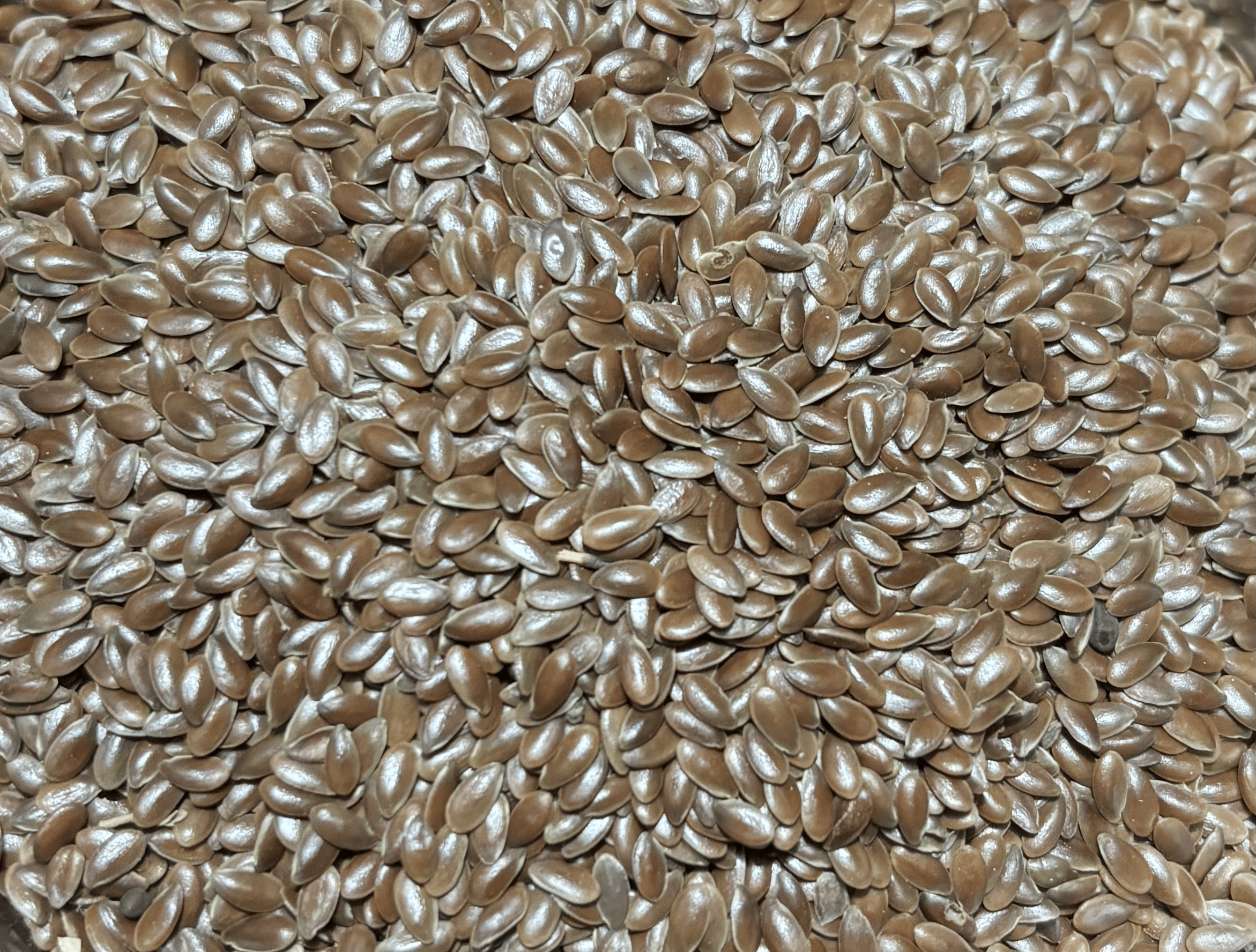 Flaxseed
