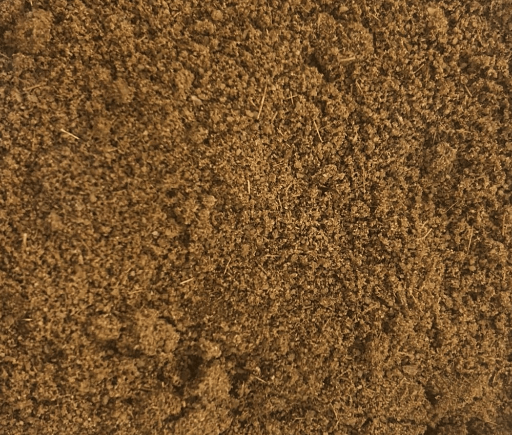 Jeera Powder