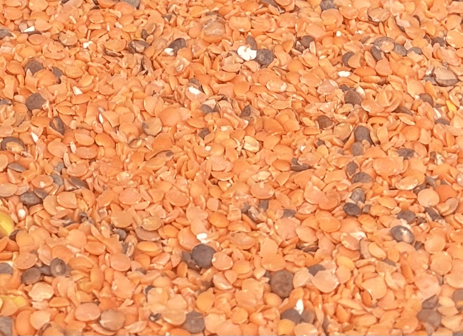 Stone Ground Masoor Dal